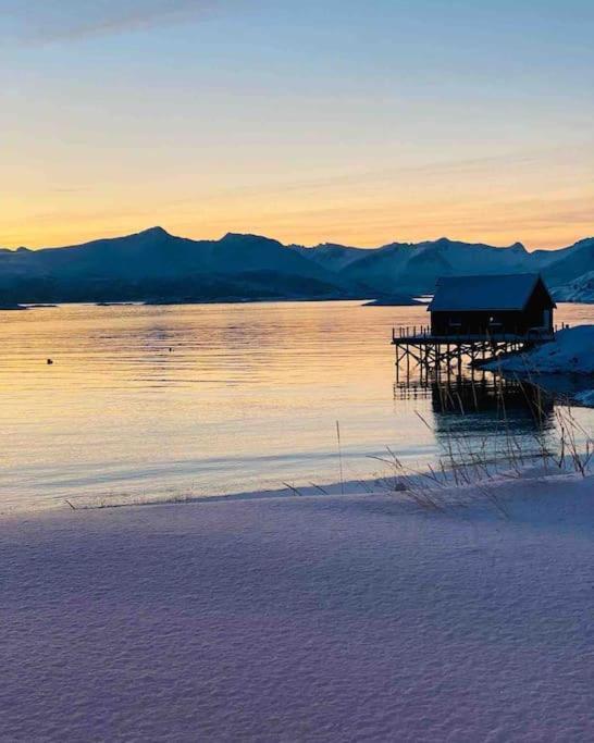 Holiday Home With Sauna In The Arctic Caribbean, Tromsø Zewnętrze zdjęcie